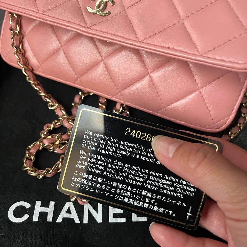Chanel Wallet on Chain (WOC) Pink Quilted Leather Crossbody - Picture 10 of 12